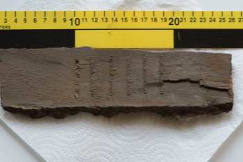 piece of limescale with markings