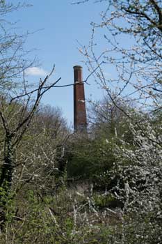 Chimney from Pond area