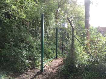 A row of fencing posts stand between an existing fence and trees and bushes.