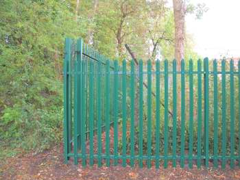 A corner of a green palisade fence, with trees and bushes on the left.